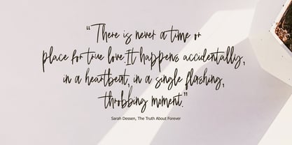 Pakody Signature Font Poster 7