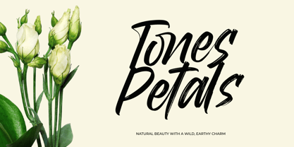 Mirage Factory Font Poster 9