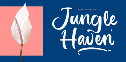 Imagine Sunday Font Poster 2