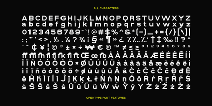Sans Sulex Font Poster 5