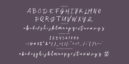 Hafine Brush Font Poster 6