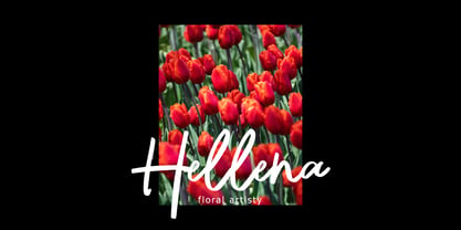 Hafine Brush Font Poster 4