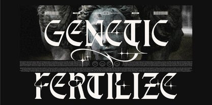 Doverise Font Poster 8