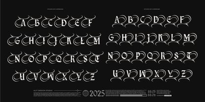 Doverise Font Poster 9
