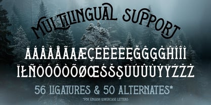 Nothern Woods Font Poster 6