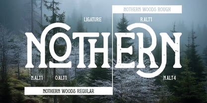 Nothern Woods Font Poster 5