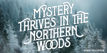 Nothern Woods Font Poster 2