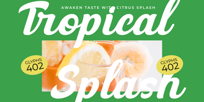 America League Font Poster 11