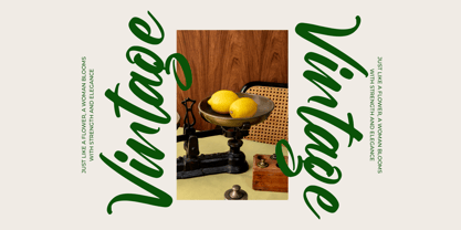 Birthday Shottera Font Poster 7