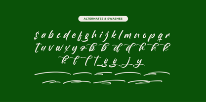 Birthday Shottera Font Poster 12