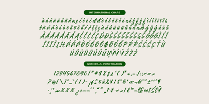 Birthday Shottera Font Poster 14