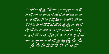 Birthday Shottera Font Poster 13