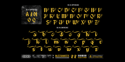 Break Roman Font Poster 11