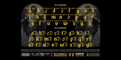 Break Roman Font Poster 13