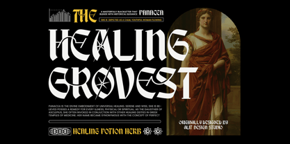 Break Roman Font Poster 3