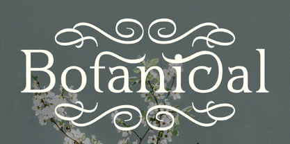 Blusvery Font Poster 6