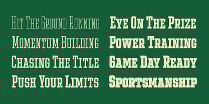 Ace Compressed Font Poster 6