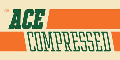 Ace Compressed Font Poster 1