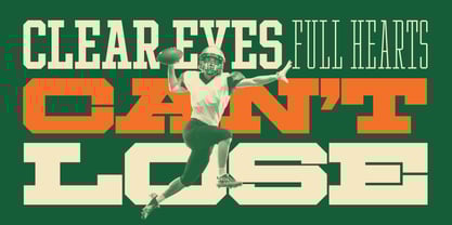 Ace Compressed Font Poster 8