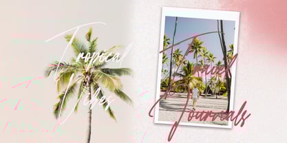 Faloney Script Font Poster 6