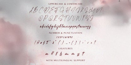 Faloney Script Font Poster 7