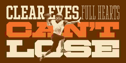 Ace Extended Font Poster 8