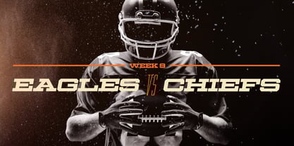 Ace Extended Font Poster 4