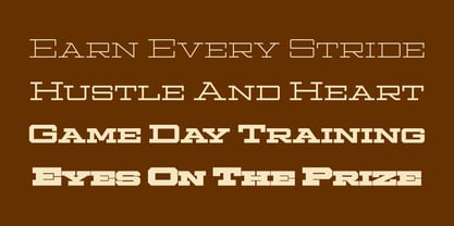 Ace Extended Font Poster 6