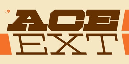 Ace Extended Font Poster 1