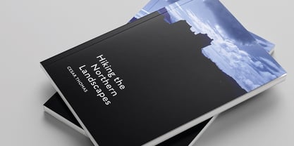 English Grotesque Font Poster 14