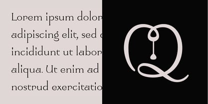 Yolanda Font Poster 4