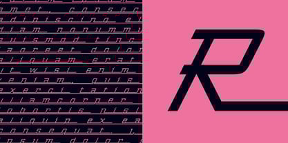 Zinger Font Poster 5