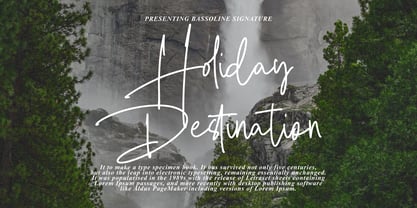 Bassoline Signature Font Poster 2