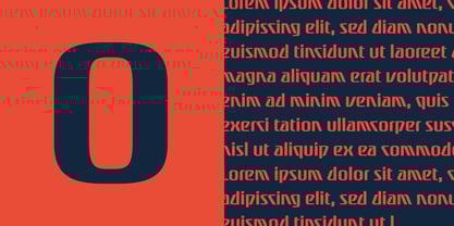 Gentry Font Poster 5