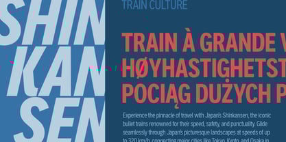 Aaux Pro Compressed Font Poster 6