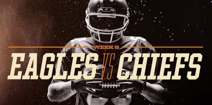 Ace Condensed Font Poster 4