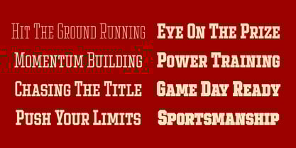 Ace Condensed Font Poster 6