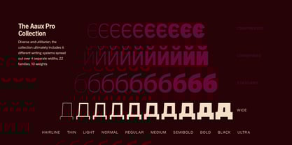 Aaux Pro Cyrillic Wide Font Poster 3