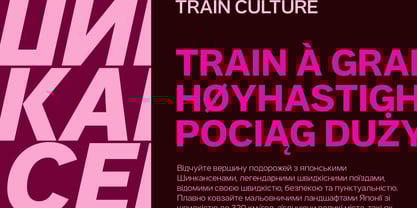 Aaux Pro Cyrillic Wide Font Poster 6