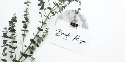 Sevilia Signature Font Poster 9