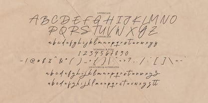 Sevilia Signature Font Poster 10