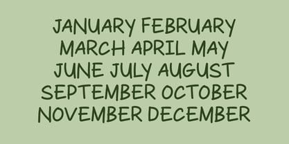 Bobby Flow Display Font Poster 7