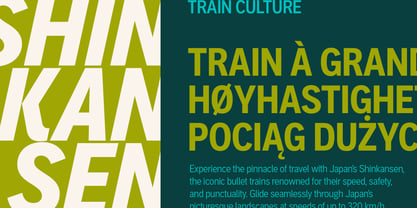 Aaux Pro Condensed Font Poster 6