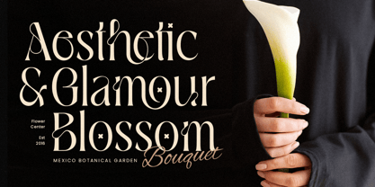 Beaquel Font Poster 3