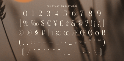 Beaquel Font Poster 11