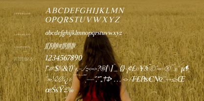 Heartfield Font Poster 8