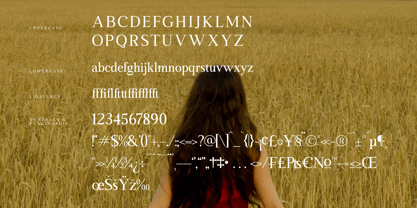 Heartfield Font Poster 7