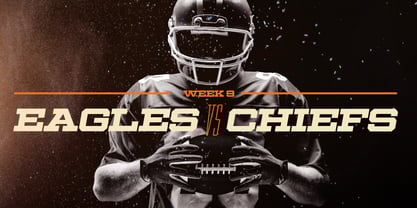 Ace Wide Font Poster 4