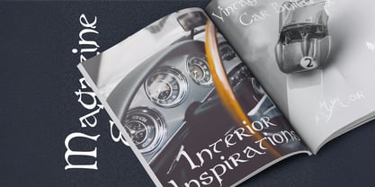 Virgo Display Font Poster 4