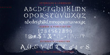 Virgo Display Font Poster 9